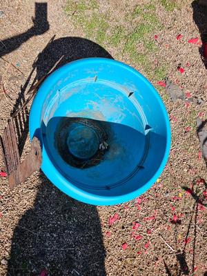 Large dura plastic planter - flowerpot - Pot with handmade steel scissors and comb