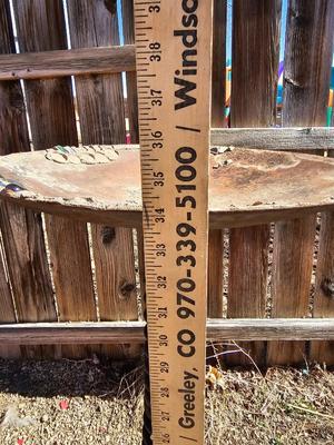 Rustic handmade one of a kind Yard / garden art - made from auto springs and more