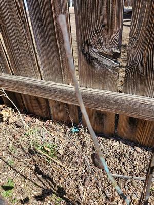 Handmade rustic yard /garden art - sunshine and butterfly - one of a kind!