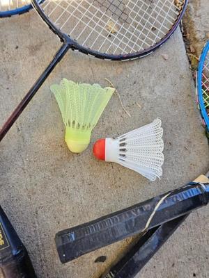 Badminton racquets - birdie - net - and a dart board