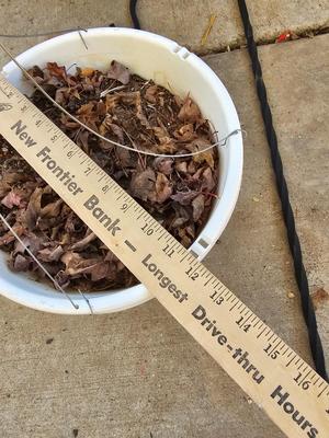 Garden Shepherd's hook with a hanging flower pot