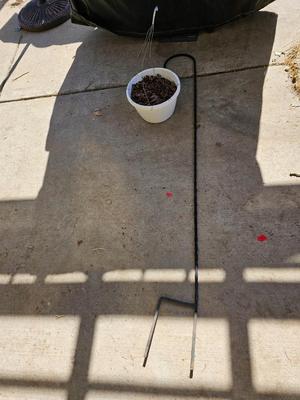 Garden Shepherd's hook with a hanging flower pot