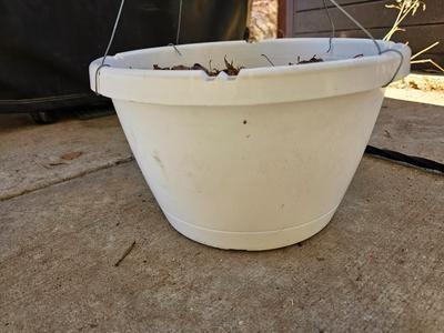 Garden Shepherd's hook with a hanging flower pot