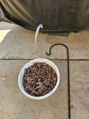 Garden Shepherd's hook with a hanging flower pot
