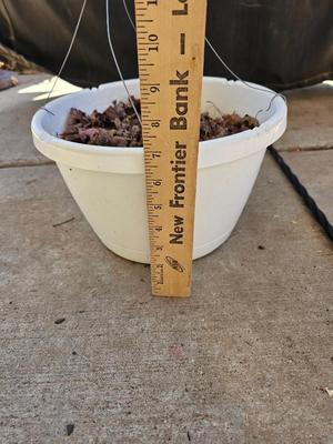 Garden Shepherd's hook with a hanging flower pot