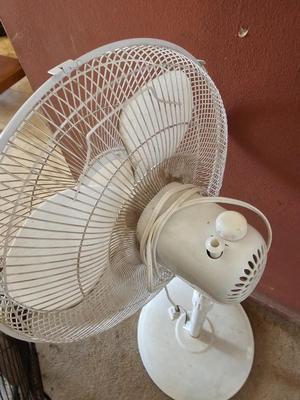 Two household fans - Freestanding