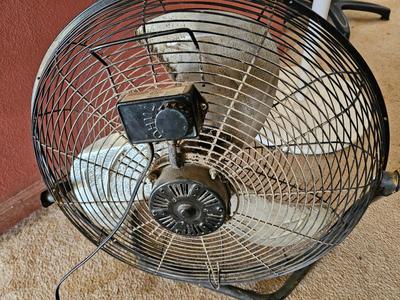 Two household fans - Freestanding