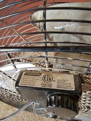 Two household fans - Freestanding