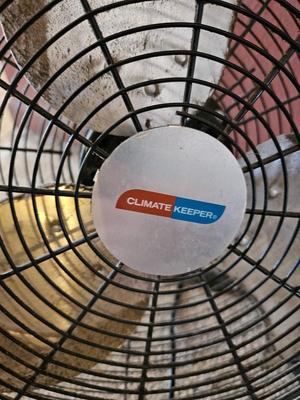 Two household fans - Freestanding