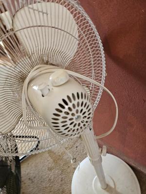 Two household fans - Freestanding
