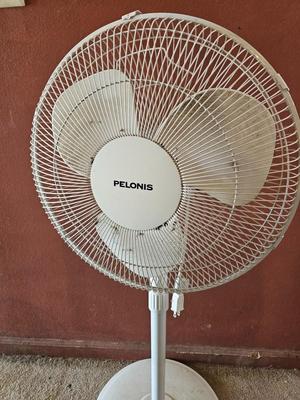 Two household fans - Freestanding