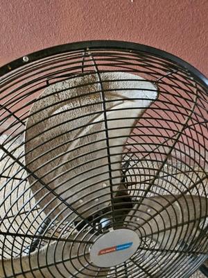 Two household fans - Freestanding