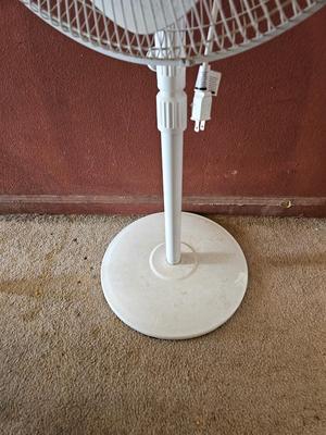 Two household fans - Freestanding