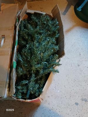 Two faux Chistmas trees with stands