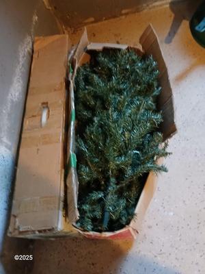 Two faux Chistmas trees with stands