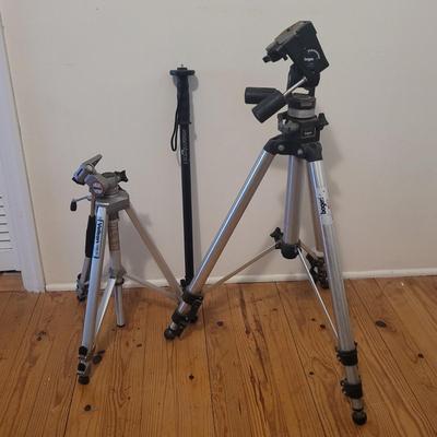 Two Tripods and Monopod (B1-EL)