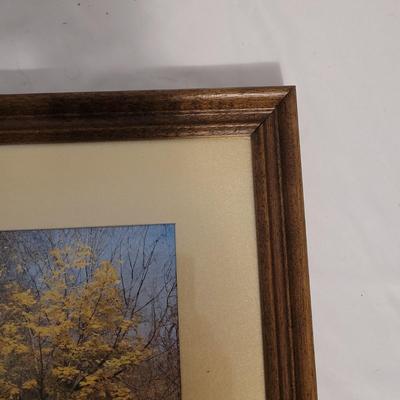 Silvery Fantasy Color Changing Wall Art (LR-EL)