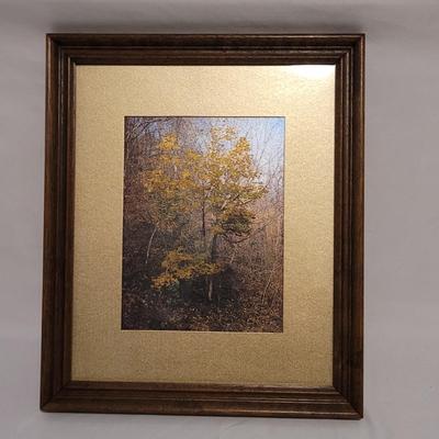 Silvery Fantasy Color Changing Wall Art (LR-EL)