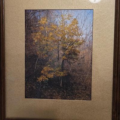 Silvery Fantasy Color Changing Wall Art (LR-EL)