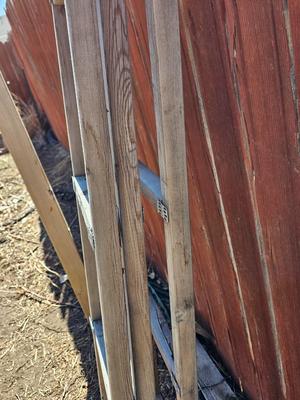 Scrap wood for use or crafts