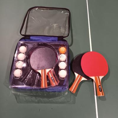 LOT 81B: 5' x 9' Ping Pong Table with Accessories