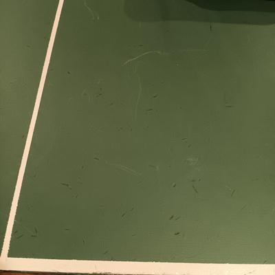 LOT 81B: 5' x 9' Ping Pong Table with Accessories