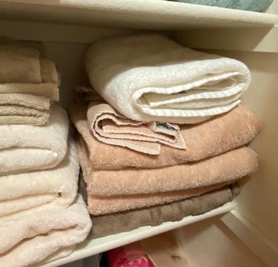 NICE LIGHT EARTH TONE TOWELS