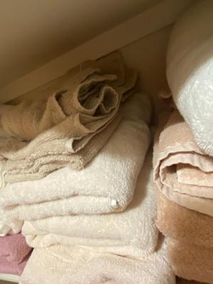 NICE LIGHT EARTH TONE TOWELS