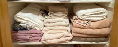 NICE LIGHT EARTH TONE TOWELS