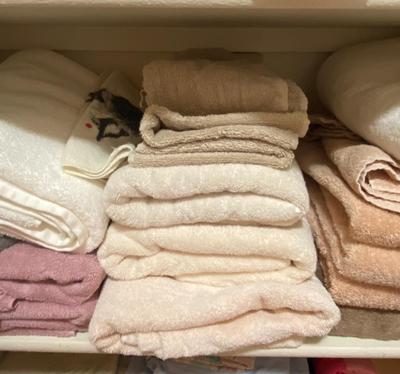 NICE LIGHT EARTH TONE TOWELS