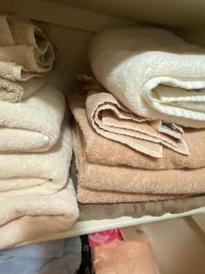 NICE LIGHT EARTH TONE TOWELS