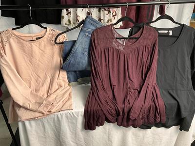 Lot E 331 Lane Bryant Plus Size Clothing Lot (18-20)