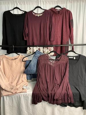 Lot E 331 Lane Bryant Plus Size Clothing Lot (18-20)