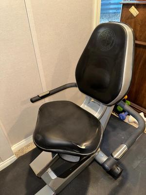 SCHWINN ERGONOMIC STATIONARY EXERCISE BIKE PLUS HAND WEIGHTS AND BALL