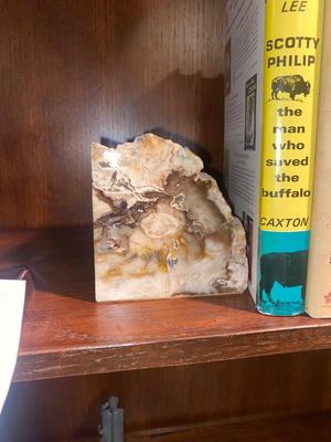 PETRIFIED WOOD BOOKENDS AND A SELECTION OF BOOKS