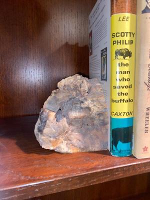 PETRIFIED WOOD BOOKENDS AND A SELECTION OF BOOKS