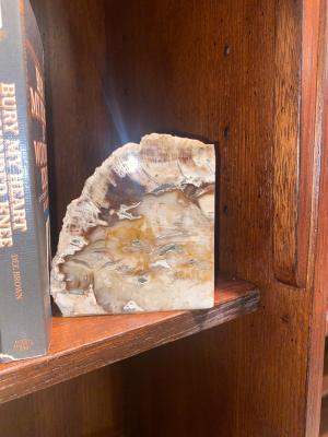 PETRIFIED WOOD BOOKENDS AND A SELECTION OF BOOKS