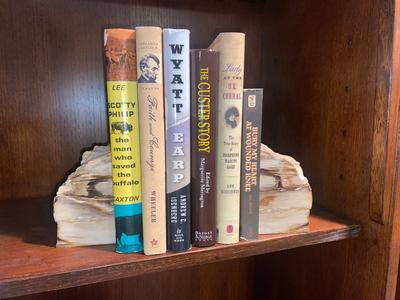 PETRIFIED WOOD BOOKENDS AND A SELECTION OF BOOKS