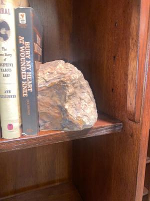 PETRIFIED WOOD BOOKENDS AND A SELECTION OF BOOKS