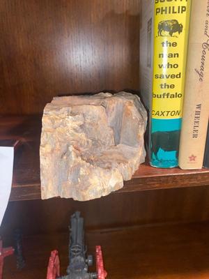 PETRIFIED WOOD BOOKENDS AND A SELECTION OF BOOKS