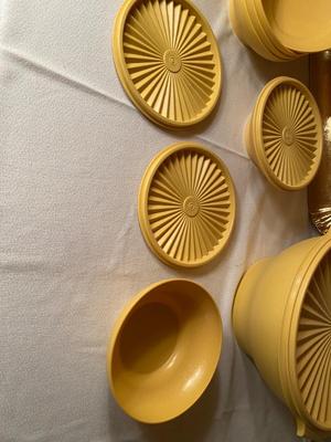 TUPPERWARE BOWLS W/LIDS AND DISPOSABLE TRAYS