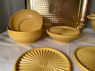 TUPPERWARE BOWLS W/LIDS AND DISPOSABLE TRAYS