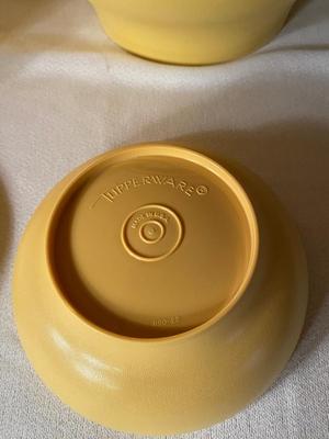 TUPPERWARE BOWLS W/LIDS AND DISPOSABLE TRAYS