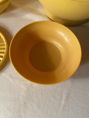 TUPPERWARE BOWLS W/LIDS AND DISPOSABLE TRAYS