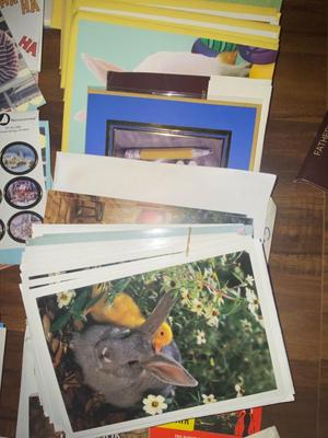 GREETING AND NOTE CARDS