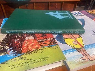COMICAL BOOKS FOR A MATURE READER
