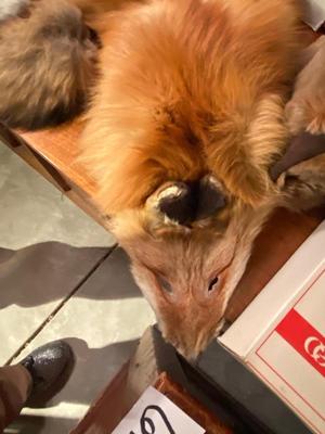 FOX PELT, OTHER FUR ITEMS, SEWING THREAD, CROCHETING CRAFT ORGANIZER KIT