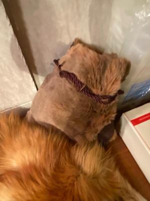 FOX PELT, OTHER FUR ITEMS, SEWING THREAD, CROCHETING CRAFT ORGANIZER KIT