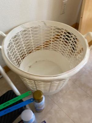 STEP STOOL, LAUNDRY BASKET, STARCH, STEAMER, DOWNY UNSTOPPABLES AND MORE