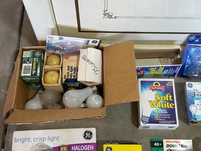 A VARIETY OF LIGHT BULBS